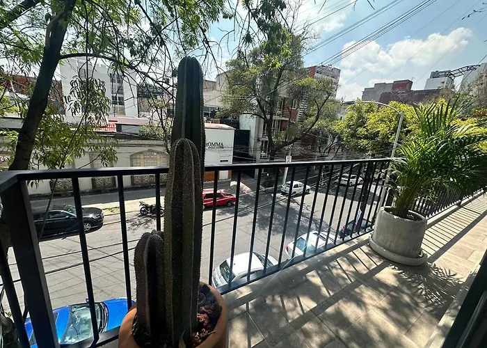 3br With A Private Terrace Roma Norte