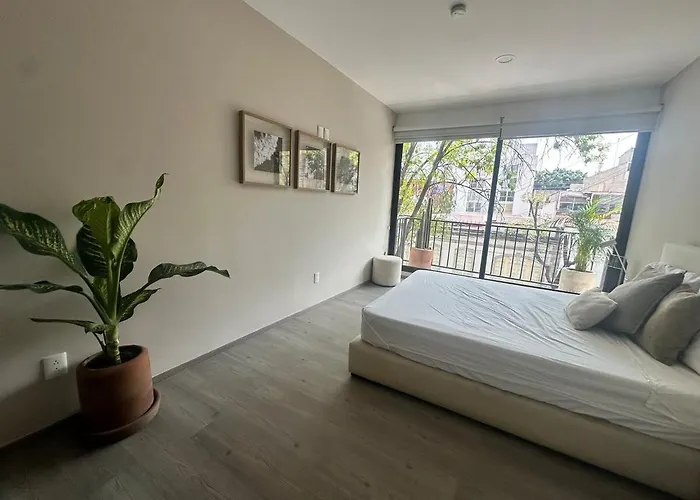 3br With A Private Terrace Roma Norte